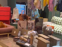 -帕帕拉兹宠物(亚洲旗舰店)