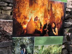 -怀托摩萤火虫洞