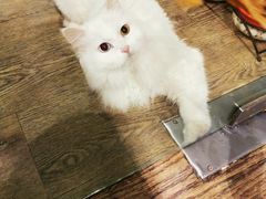 -小时光咖啡馆(开森度假森林店)