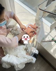 -月来悦好国际月子会所