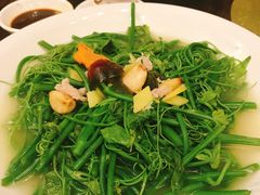 龙須菜-大门水乡·顺德菜