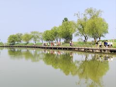 -野鸭湖国家湿地公园