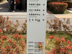 -秦始皇帝陵博物院-丽山园