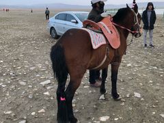 -青海湖国家重点风景名胜区