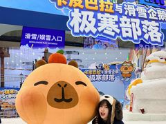 -广州热雪奇迹