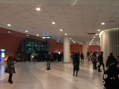 -成都金融城演艺中心