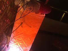 -甜喵酒吧(茂业店)