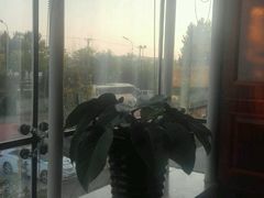 -长兴岛敦豪国际酒店-西餐自助餐厅