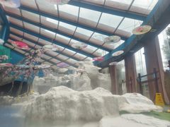 -西岭雪山大飞水景区