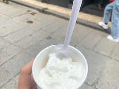 -洪馨椰子