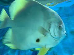 -北戴河圣蓝海洋公园