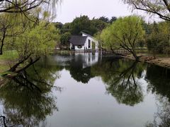 -上海共青森林公园