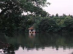 -清迈夜间动物园
