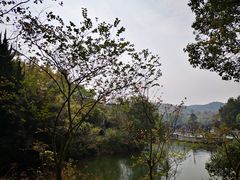 -白马涧龙池景区