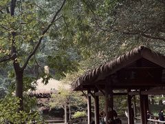 -九曜山