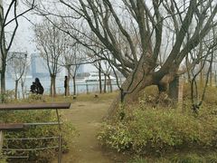 -北龙湖湿地公园
