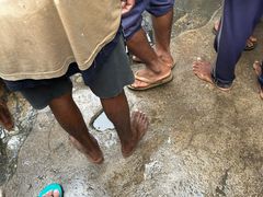 -尼甘布海鲜市场