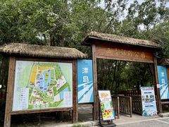 -西青郊野公园