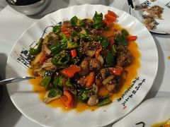 -煲来饱去冷水鱼