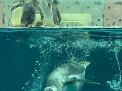 -正佳极地海洋世界
