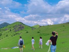 -大姆山草场