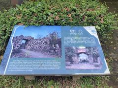 -海口火山口国家地质公园