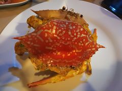 -Red Lobster