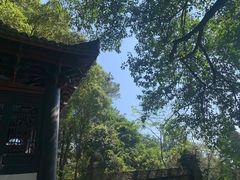 -白鹿洞书院