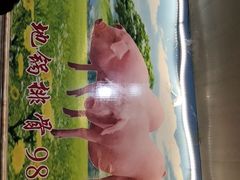 -武氏皖北网红三胖地锅鸡(桐城路店)