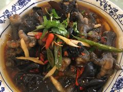 椒麻鸡爪-三毛鱼庄(威连路店)