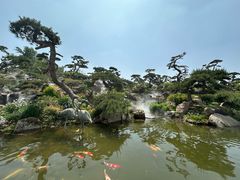 -罗红摄影艺术馆