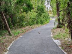 -盐城丹顶鹤湿地生态旅游区