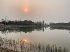 -大兴滨河森林公园