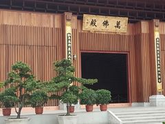 -深圳仙湖植物园-停车场