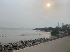 -深圳湾公园(南山区)