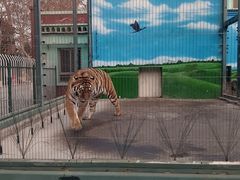 -保定市动物园