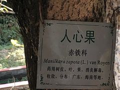 -广州神农草堂中医药博物馆