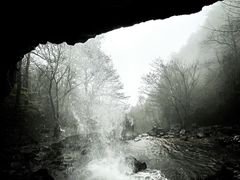 -四明山国家森林公园