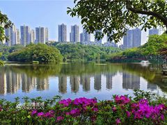-重庆彩云湖湿地公园