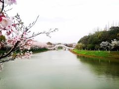 -上海海湾国家森林公园