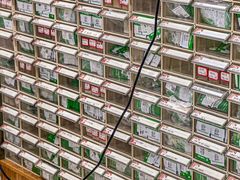 -派美特宠物医院·核磁CT·骨科肿瘤·疑难转诊(沈农禾丰店)