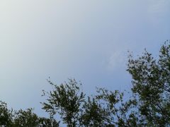 -苏州河梦清园环保主题公园