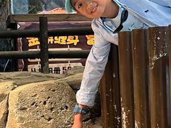 -哈尔滨波塞冬海底世界