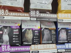 -瑞派长江宠物医院·猫科·外科·24小时夜护(谊城公寓分院)
