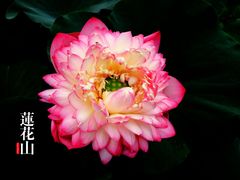 -广州莲花山旅游区