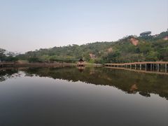 -神光山国家森林公园