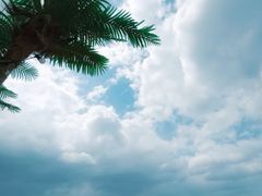 -威海国际海水浴场旅游区