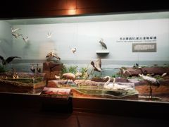 -大庆市博物馆
