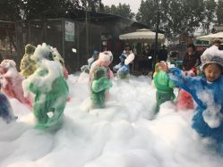 -上美四季动物农场