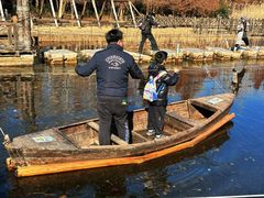 -溱湖国家湿地公园